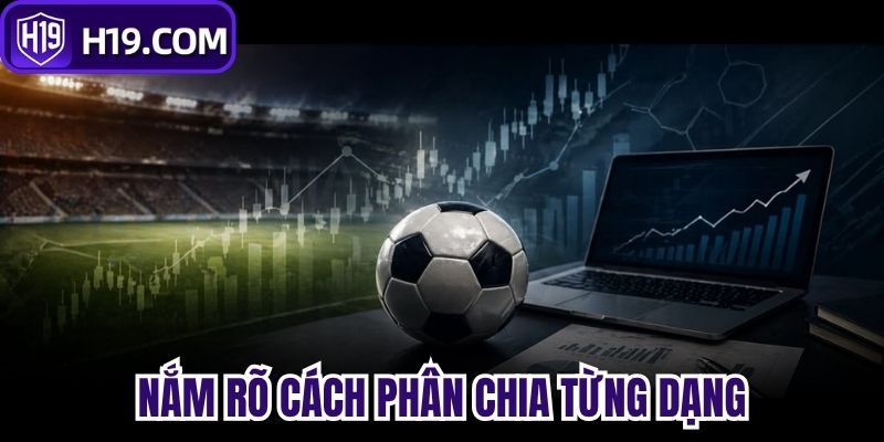 Nắm rõ cách phân chia từng dạng