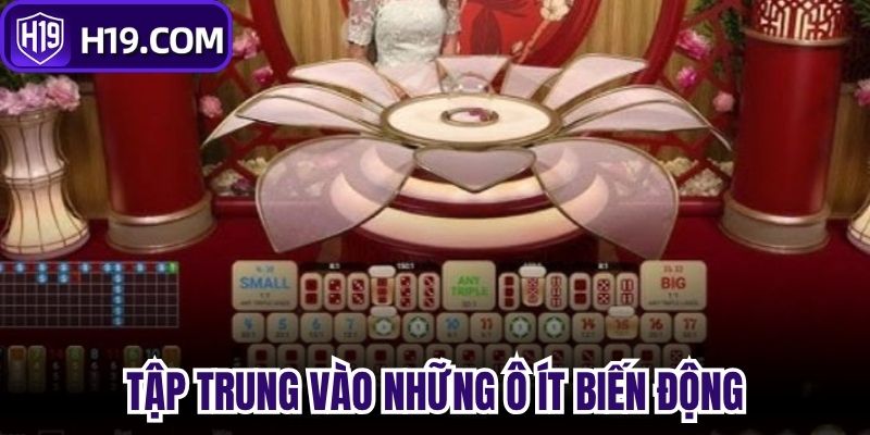 Tập trung vào những ô ít biến động